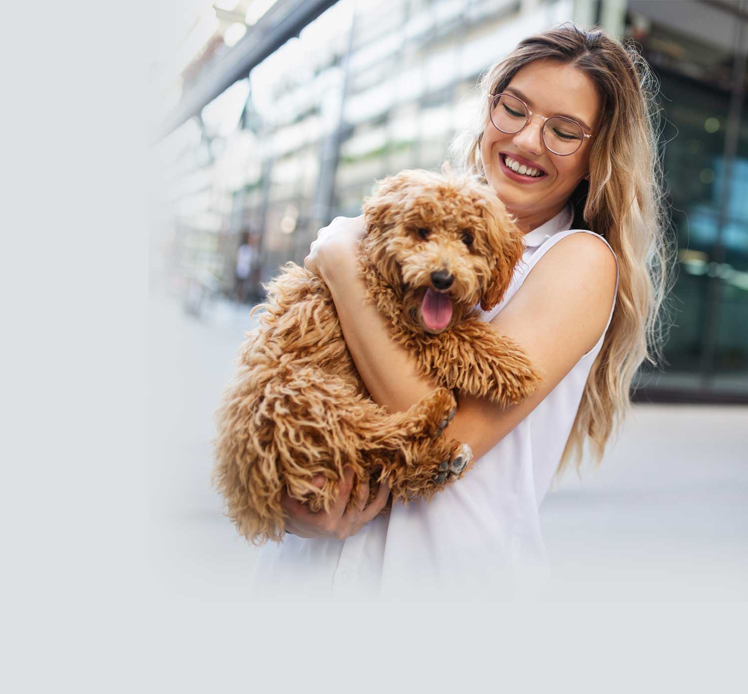 cover-mobile-dog2