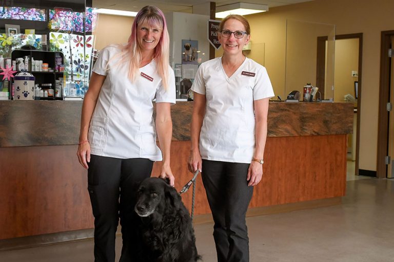 About Us Cypress View Vet Clinic