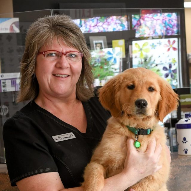 About Us Cypress View Vet Clinic