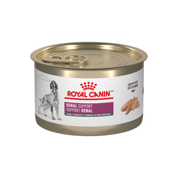 Royal canin renal support fashion e cat food